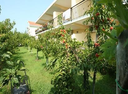Bed And Breakfast Cirelli Скалея Экстерьер фото